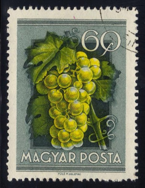 Hungary #1090 Grapes; CTO