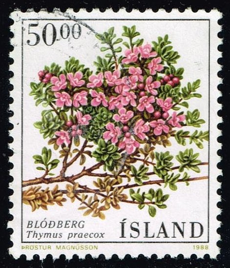 Iceland #664 Creeping Thyme Flower; Used
