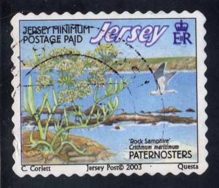 Jersey #1092d Paternosters Reef; Used