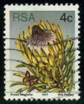 South Africa #478 Flower; Used