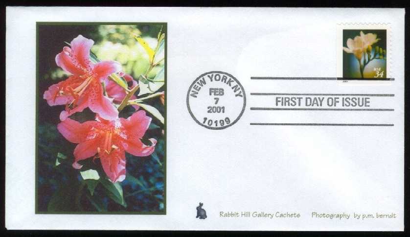 US #3489 Rabbit Hill Gallery Photo First Day Cover Cachet