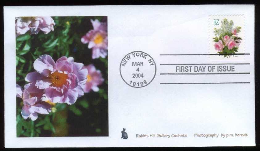 US #3836 Rabbit Hill Gallery Photo First Day Cover Cachet