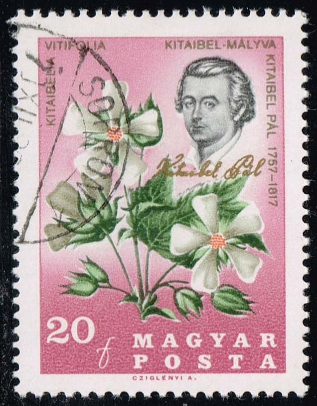 Hungary #1811 Flowers of the Carpathian Basin; CTO