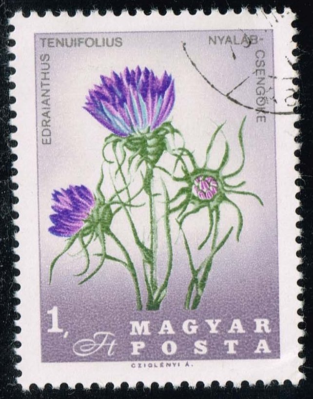 Hungary #1813 Flowers of the Carpathian Basin; CTO