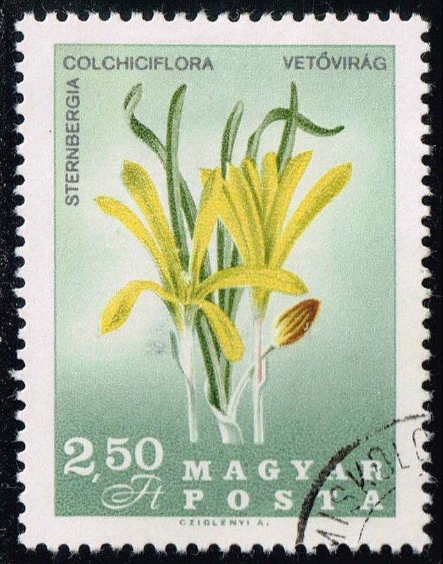 Hungary #1816 Flowers of the Carpathian Basin; CTO