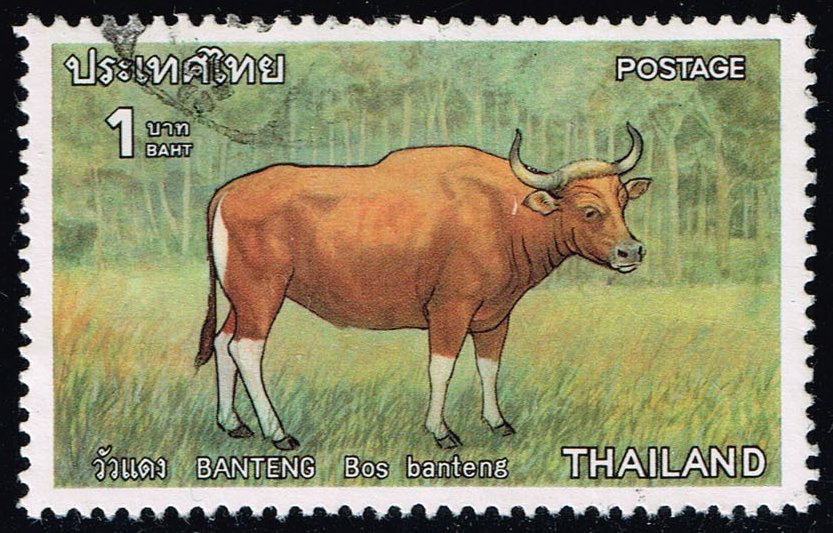 Thailand #806 Banteng; Used