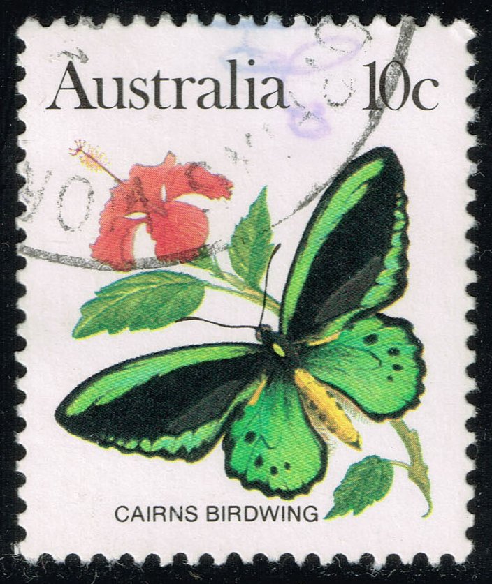 Australia #873 Macleay's Swallowtail Butterfly; Used