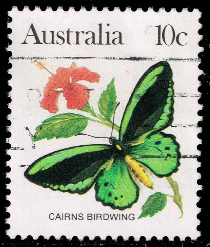 Australia #873 Macleay's Swallowtail Butterfly; Used