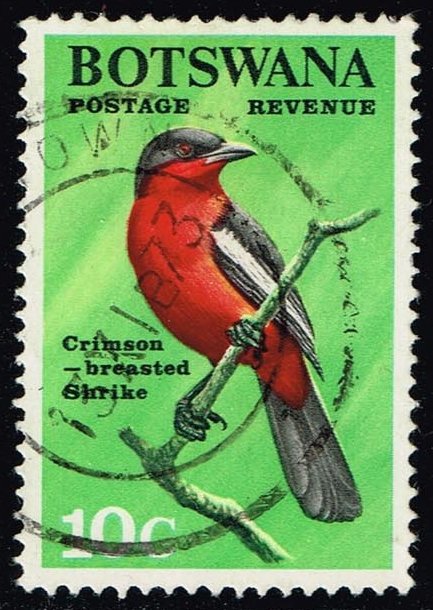 Botswana #25 Crimson-breasted Shrike; Used