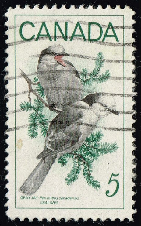 Canada #478 Gray Jays; Used