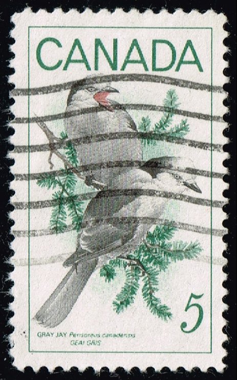 Canada #478 Gray Jays; Used
