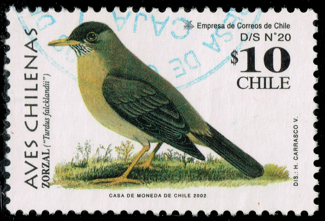 Chile #1385 Austral Thrush; Used