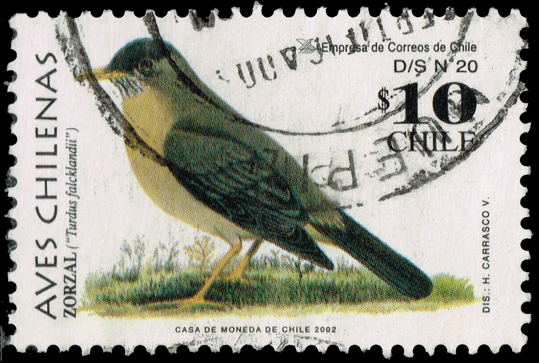 Chile #1385 Austral Thrush; Used