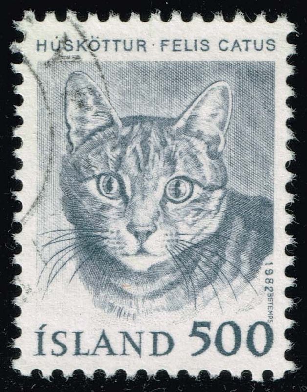 Iceland #558 Cat; Used
