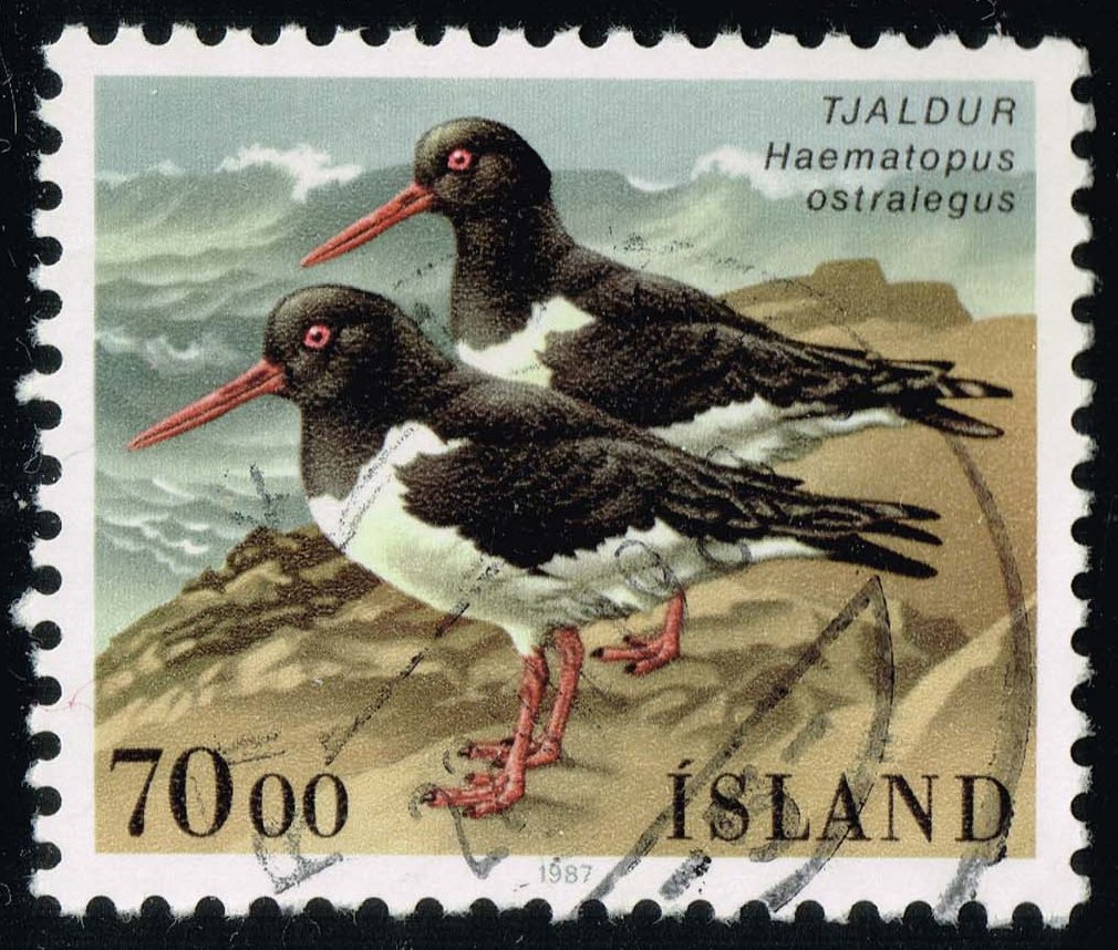 Iceland #644 Oystercatcher Birds; Used