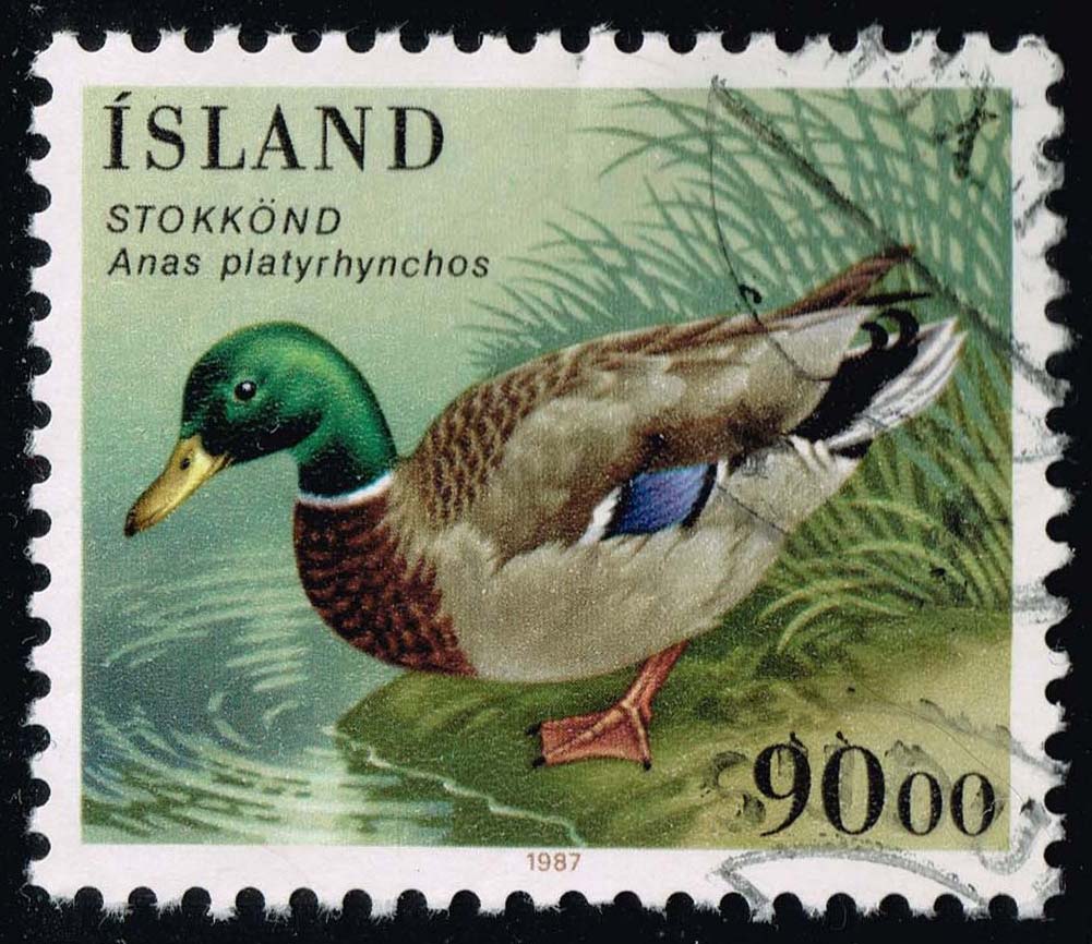 Iceland #645 Mallard Duck; Used