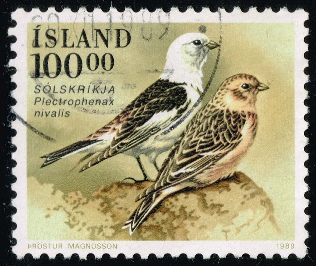 Iceland #672 Snow Bunting Birds; Used