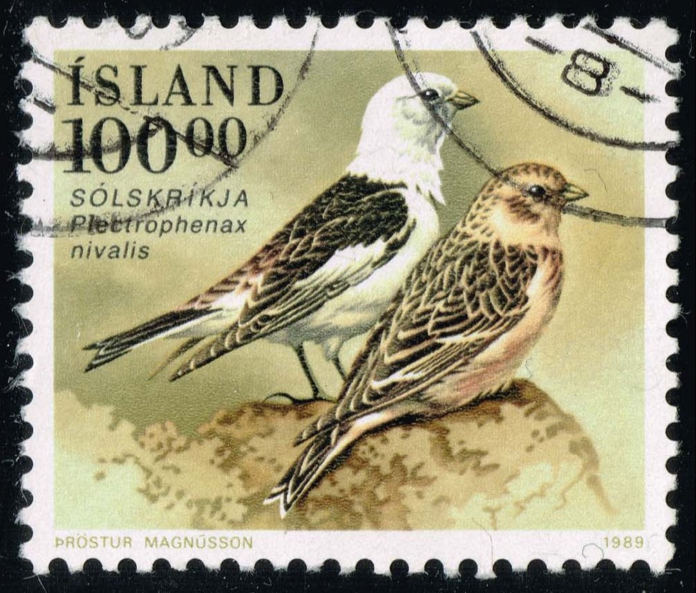 Iceland #672 Snow Bunting Birds; Used