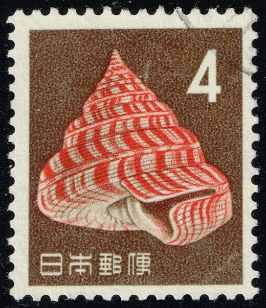 Japan #746 Hirase's Slit Shell; Used