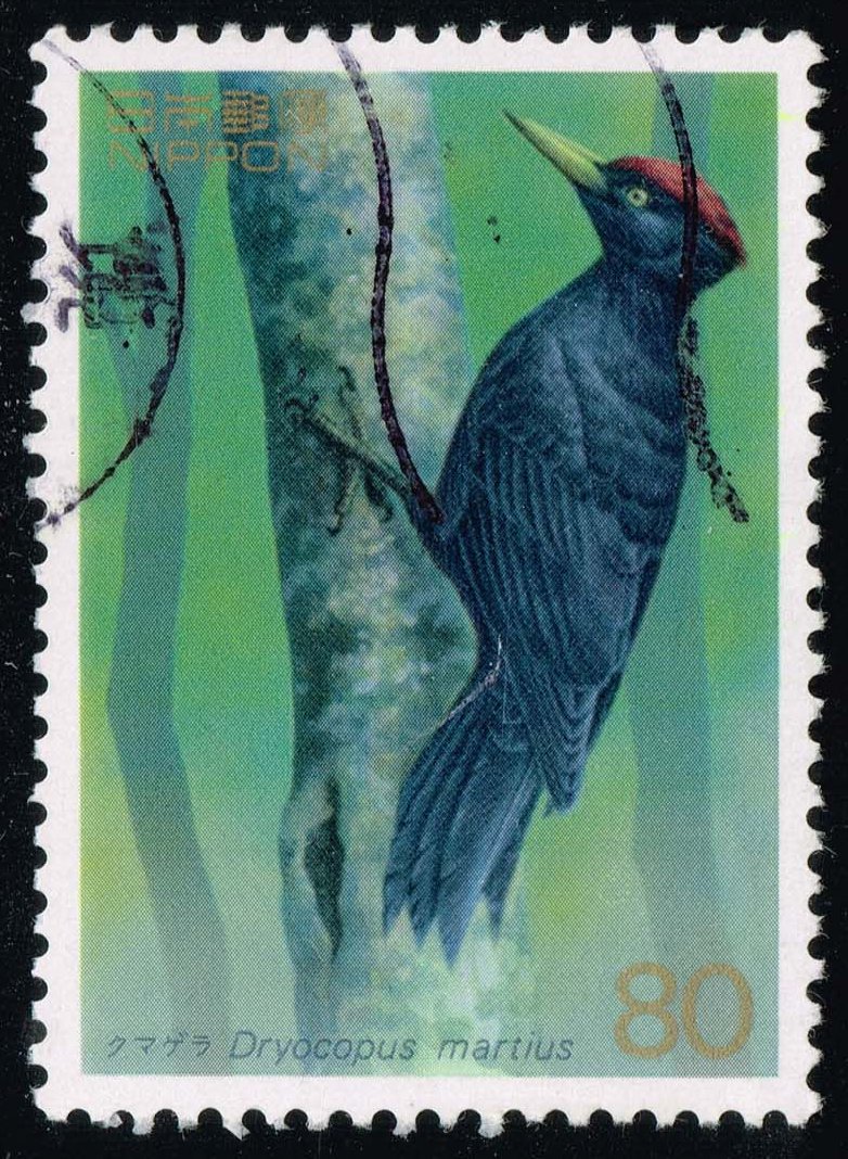 Japan #2454 Black Woodpecker; Used