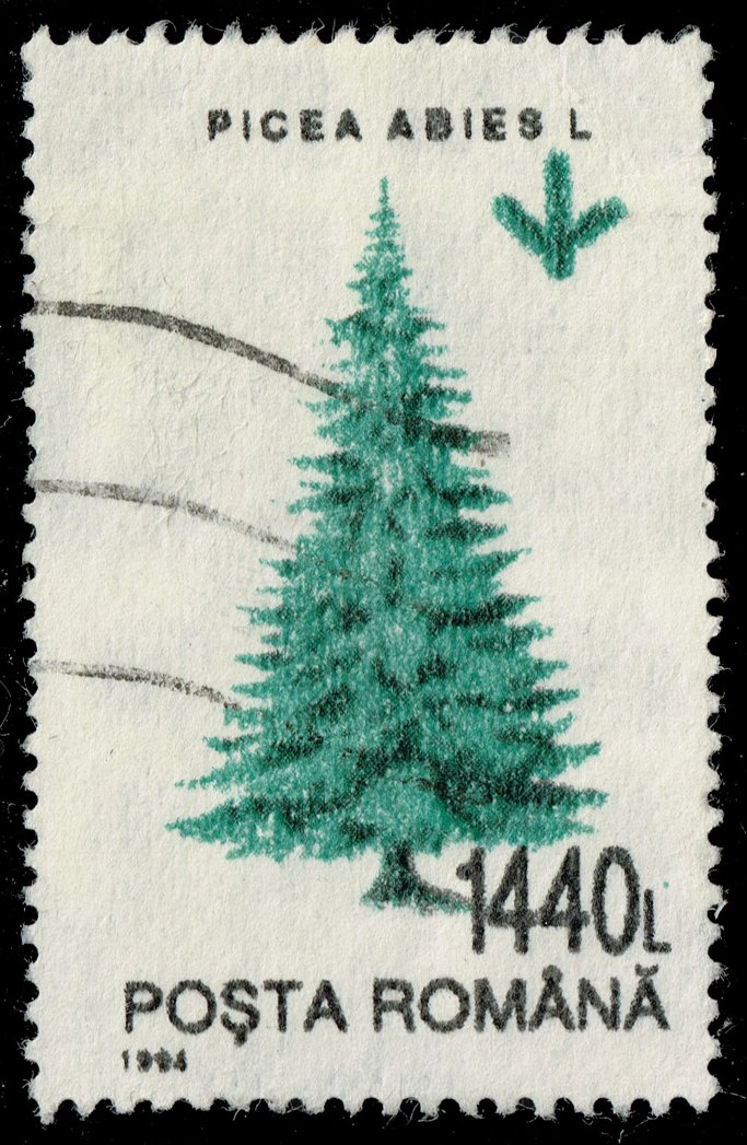 Romania #3921 Common Spruce; Used