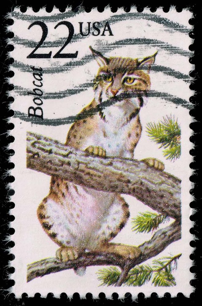 US #2332 Bobcat; Used