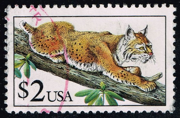 US #2482 Bobcat; Used