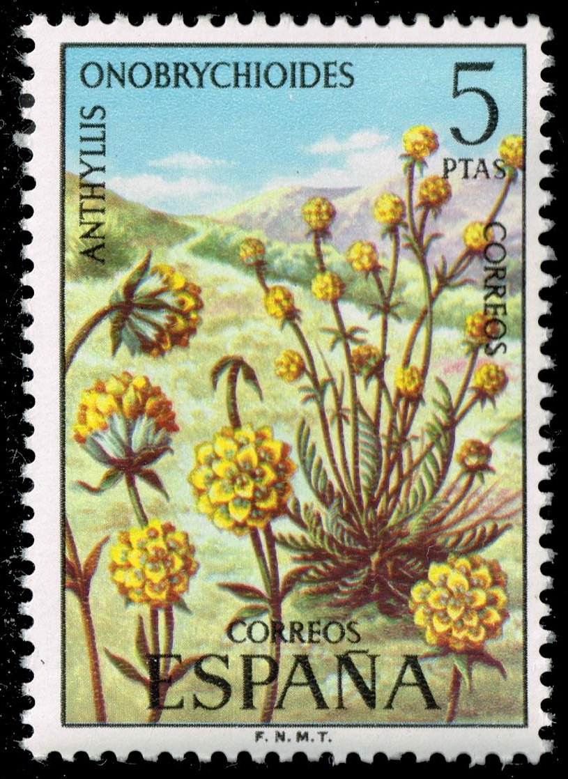 Spain #1850 Anthyllis onobrychioides; MNH