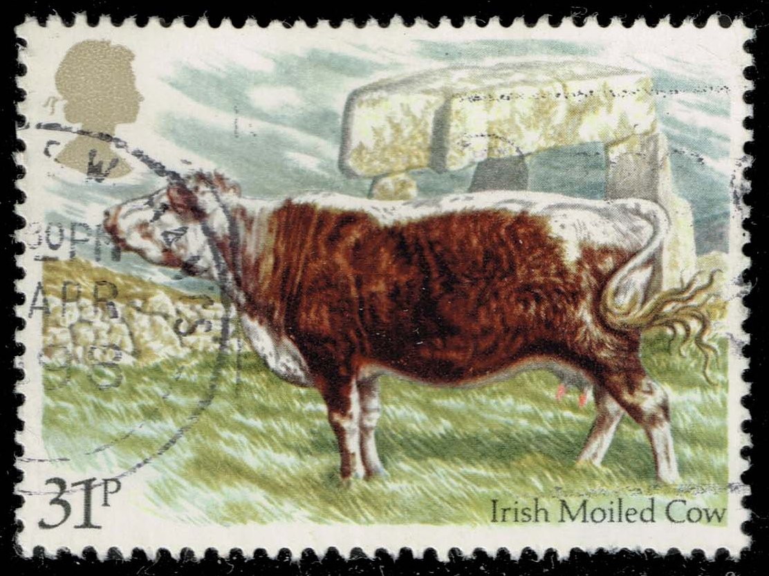 Great Britain #1048 Irish Moiled Cow; Used