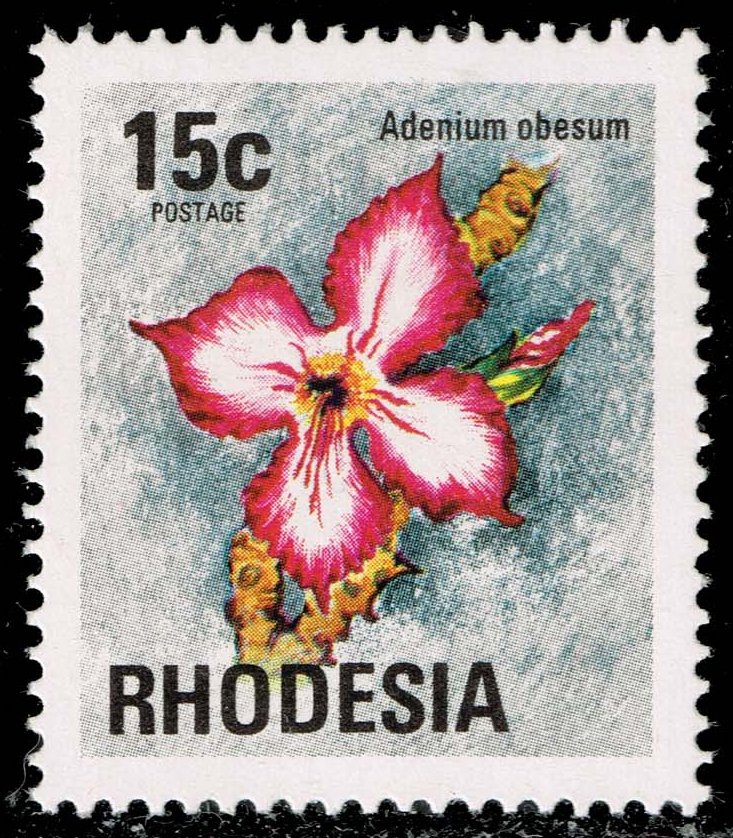 Rhodesia #340 Pink Sabi Star; MNH
