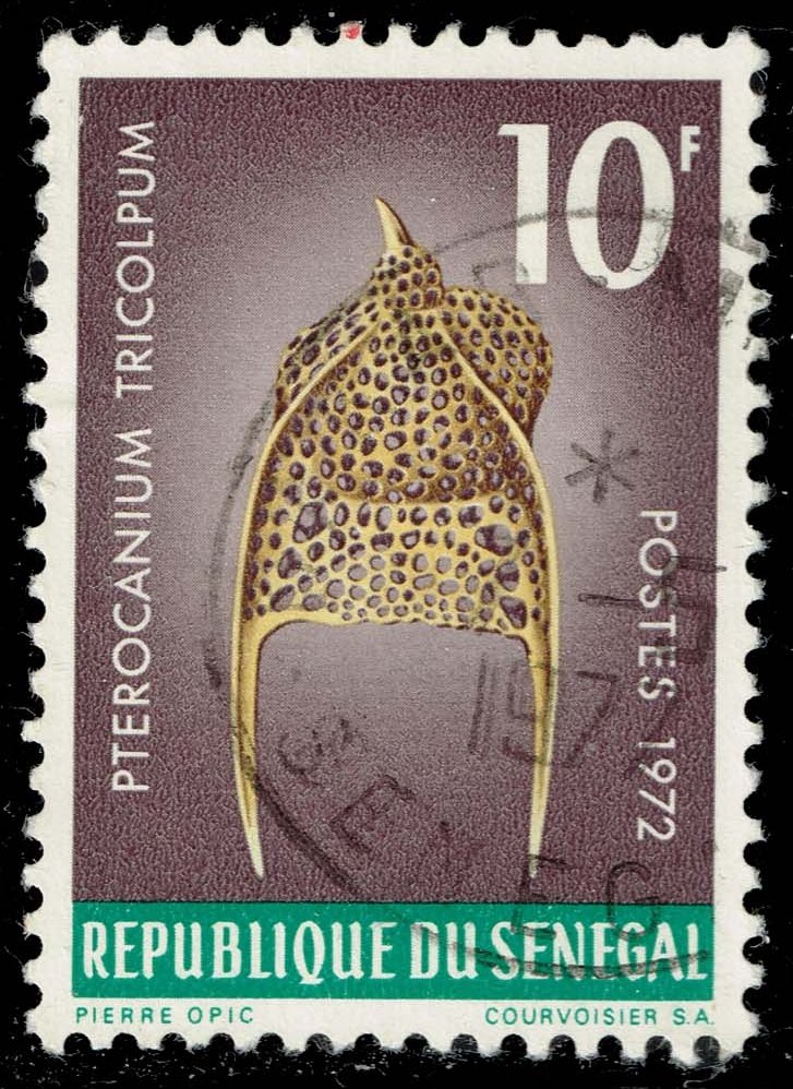 Senegal #376 Pterocanium tricolpum; Used