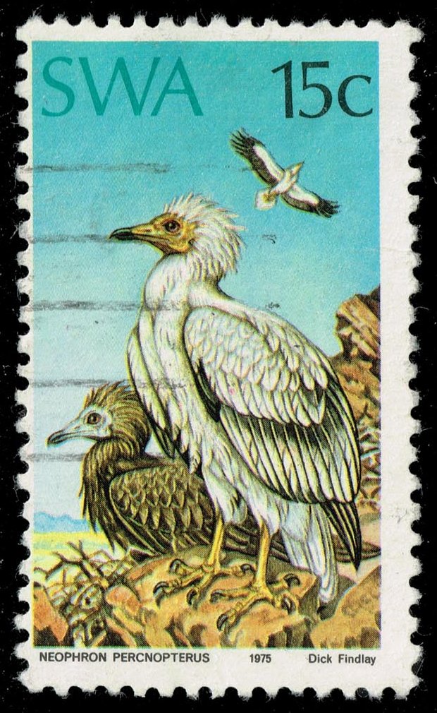 South West Africa #376 Egyptian Vulture; Used