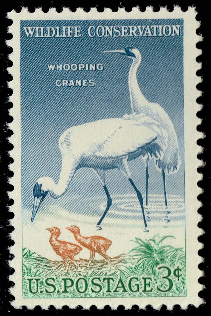 US #1098 Whooping Cranes; MNH