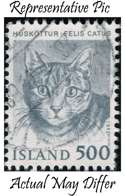 Iceland #558 Cat; Used at Wholesale