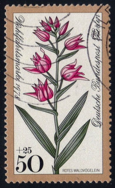 Germany #9NB150 Cephalanthera rubra (Orchid); Used - Click Image to Close