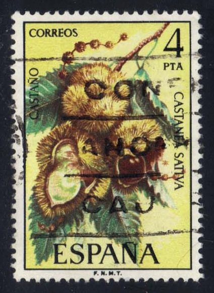 Spain #1882 Chestnuts; Used - Click Image to Close