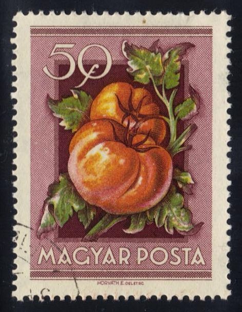 Hungary #1089 Tomatoes; CTO - Click Image to Close