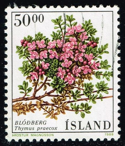 Iceland #664 Creeping Thyme Flower; Used - Click Image to Close