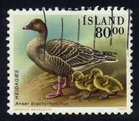 Iceland #687 Pink-footed Goose; Used - Click Image to Close
