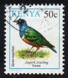 Kenya #594 Superb Starling; Used - Click Image to Close