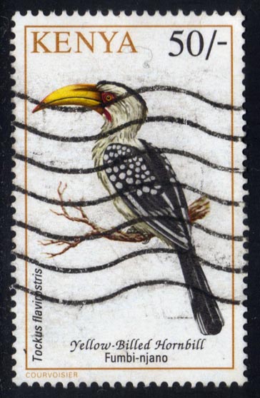 Kenya #608 Yellow-billed Hornbill; Used - Click Image to Close