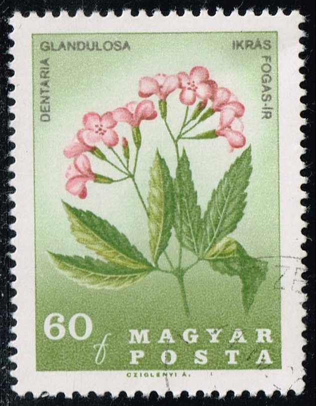 Hungary #1812 Flowers of the Carpathian Basin; CTO - Click Image to Close
