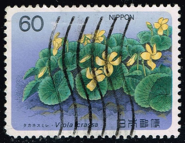 Japan #1581 Viola Crassa; Used - Click Image to Close