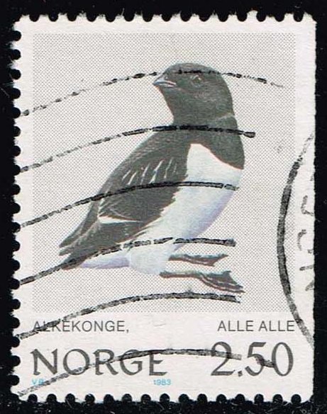 Norway #822 Little Auk; Used - Click Image to Close