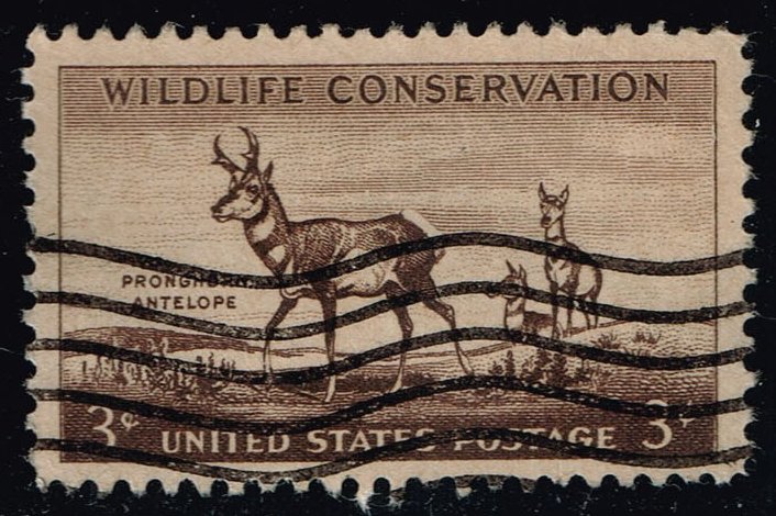 US #1078 Pronghorn Antelope; Used - Click Image to Close
