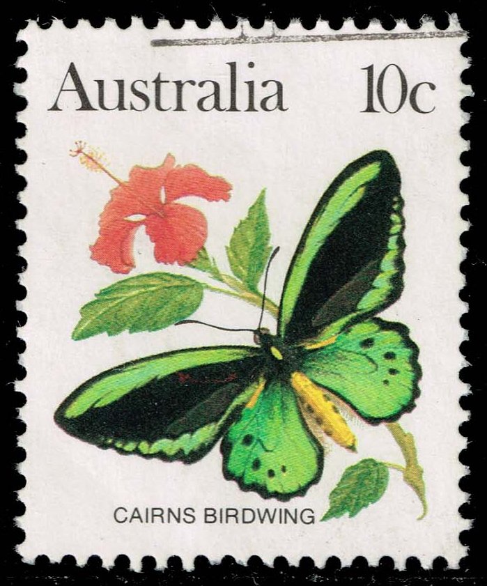 Australia #873 Macleay's Swallowtail Butterfly; Used - Click Image to Close