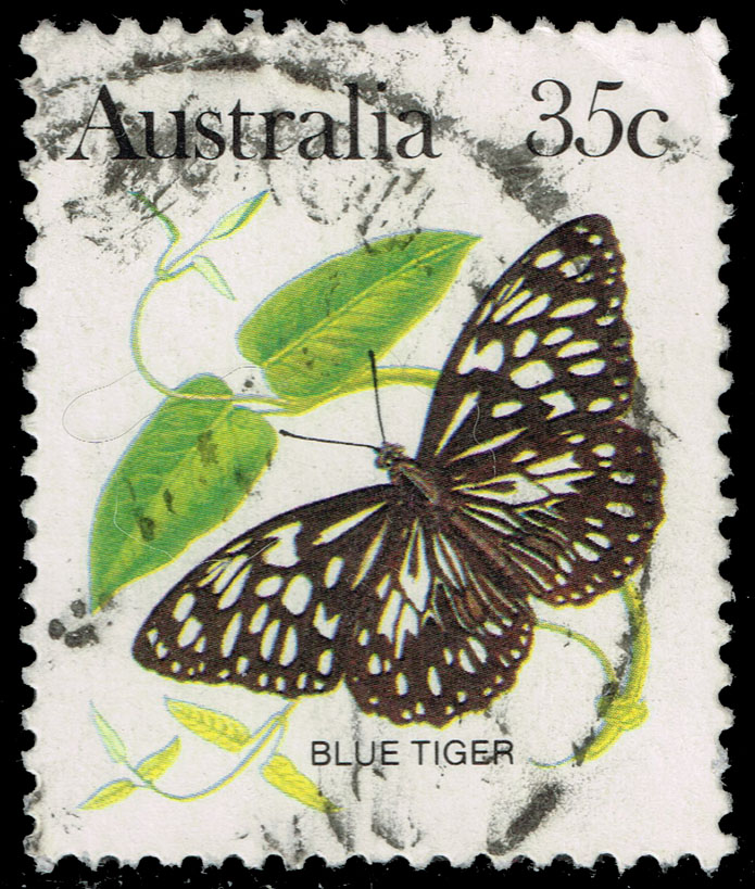 Australia #876 Blue Tiger Butterfly; Used - Click Image to Close