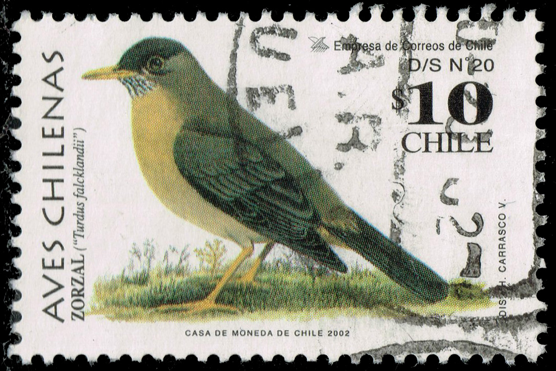 Chile #1385 Austral Thrush; Used - Click Image to Close
