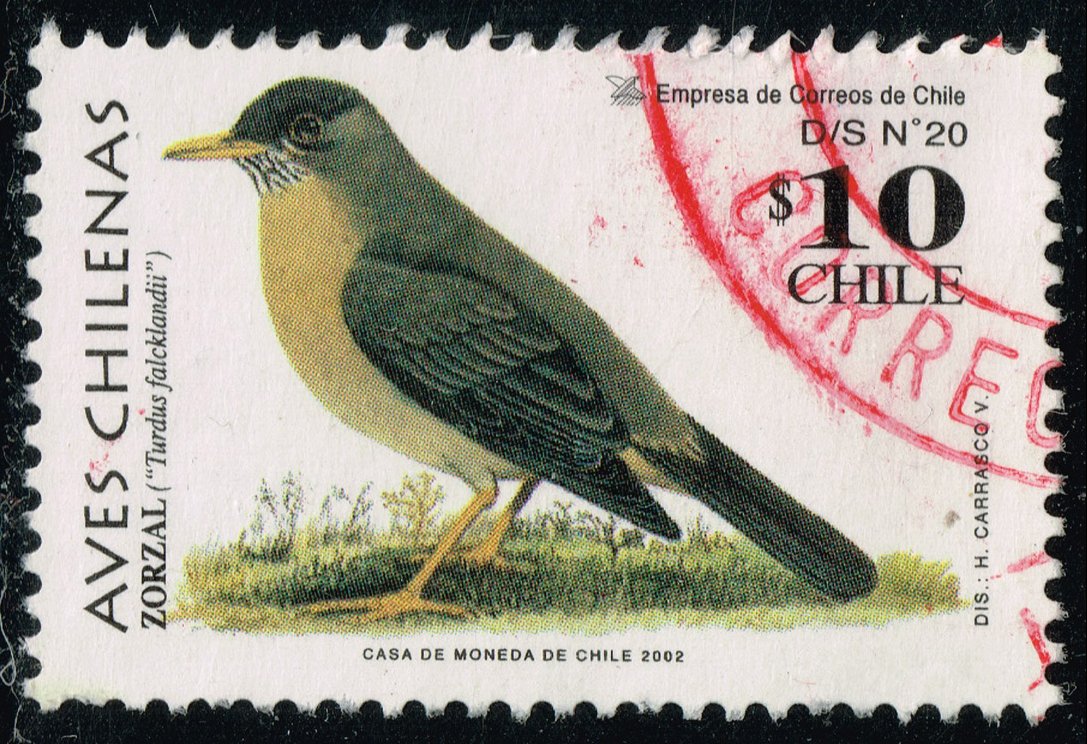 Chile #1385 Austral Thrush; Used - Click Image to Close