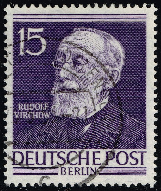 Germany #9N89 Rudolf Virchow; Used - Click Image to Close